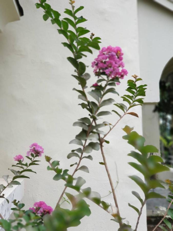 Baan Rub Lom by Jane Apartment Pakchong Bagian luar foto